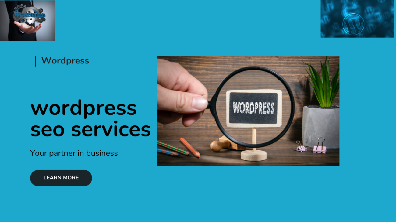 WordPress seo service